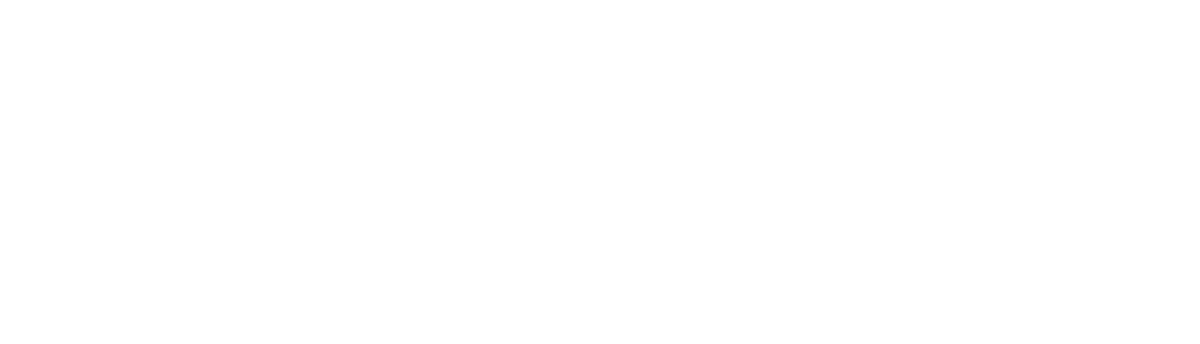 Logo Ballfreunde in weiß