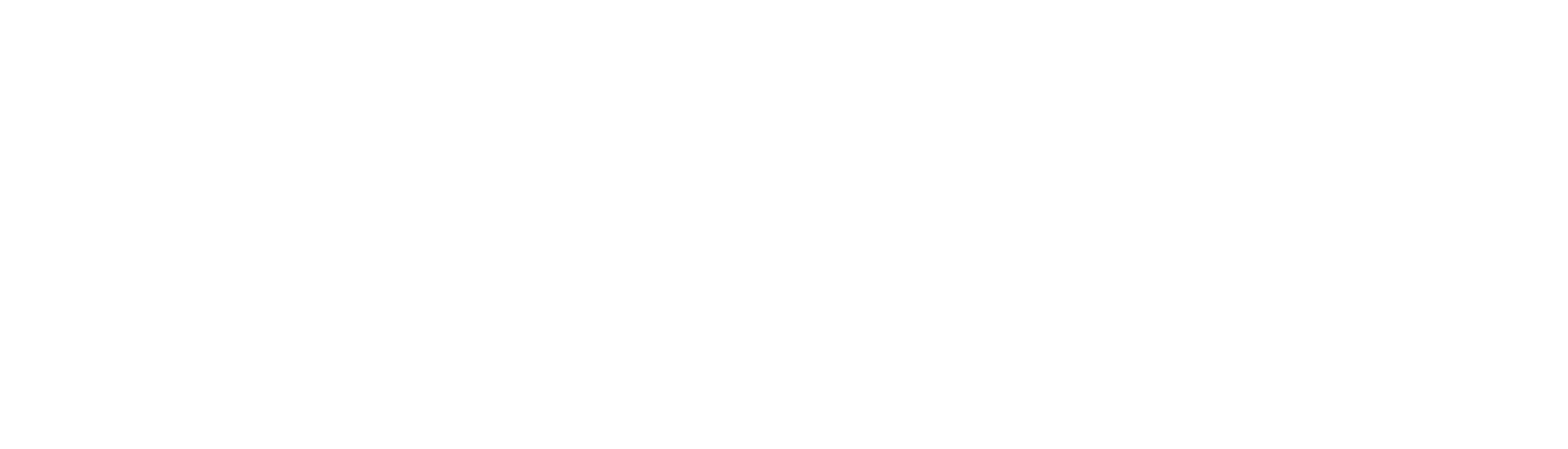 Logo Ballfreunde in weiß