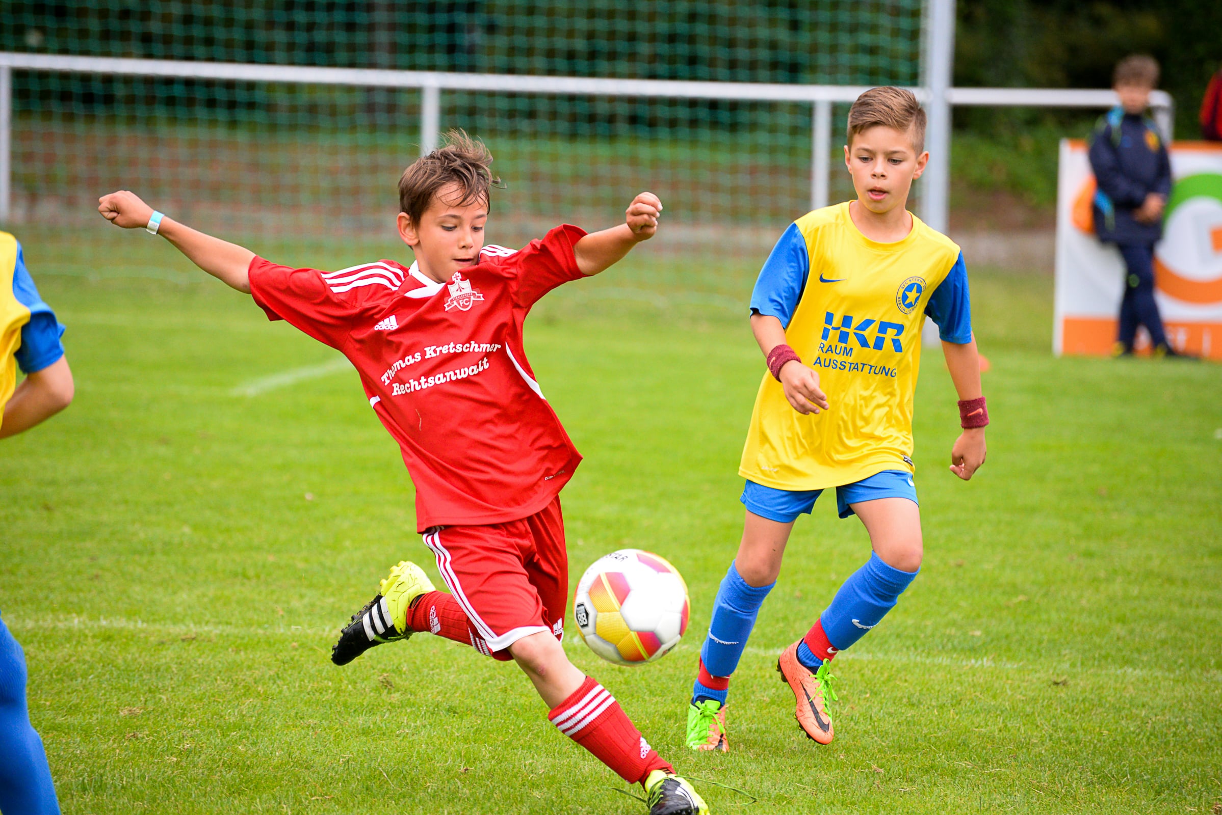 BALLFREUNDE review Flensburg